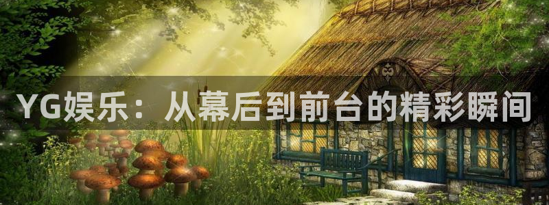 星亿娱乐主管：YG娱乐：从幕后到前台的精彩瞬间