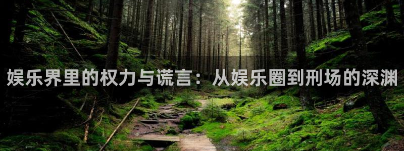 星亿娱乐官网进入：娱乐界里的权力与谎言：从娱乐圈到刑场的深渊