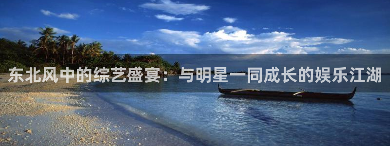 星亿娱乐注册：东北风中的综艺盛宴：与明星一同成长的娱乐江湖