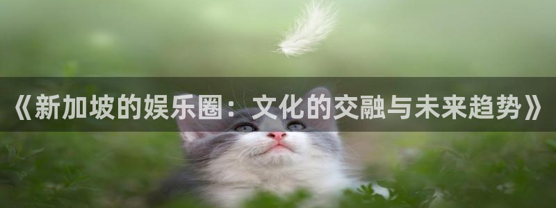 星亿娱乐平台：《新加坡的娱乐圈：文化的交融与未来趋势》