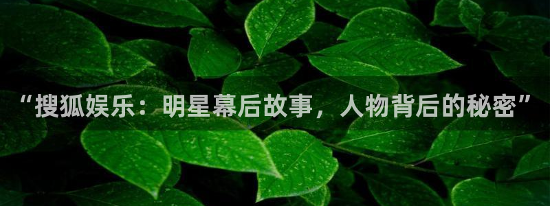 星亿娱乐官网登录入口：“搜狐娱乐：明星幕后故事，人物背后的秘密”