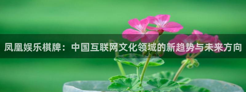 星亿娱乐官网登录入口：凤凰娱乐棋牌：中国互联网文化领域的新趋势与未来方向