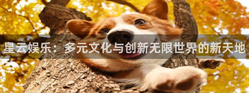 星亿娱乐注册：星云娱乐：多元文化与创新无限世界的新天地