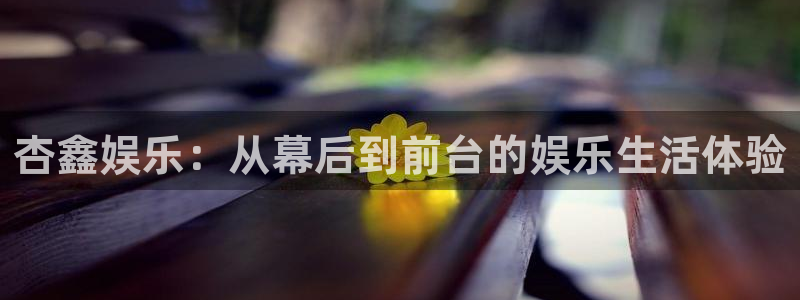 星亿娱乐主管：杏鑫娱乐：从幕后到前台的娱乐生活体验